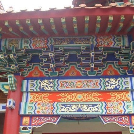 訓(xùn)練龍魚膽子：如何訓(xùn)練龍魚的膽子 訓(xùn)練龍魚膽子：如何訓(xùn)練龍魚的膽子 龍魚百科 第2張