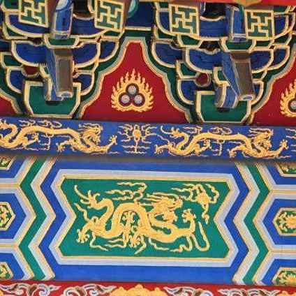 訓(xùn)練龍魚膽子：如何訓(xùn)練龍魚的膽子 訓(xùn)練龍魚膽子：如何訓(xùn)練龍魚的膽子 龍魚百科 第6張