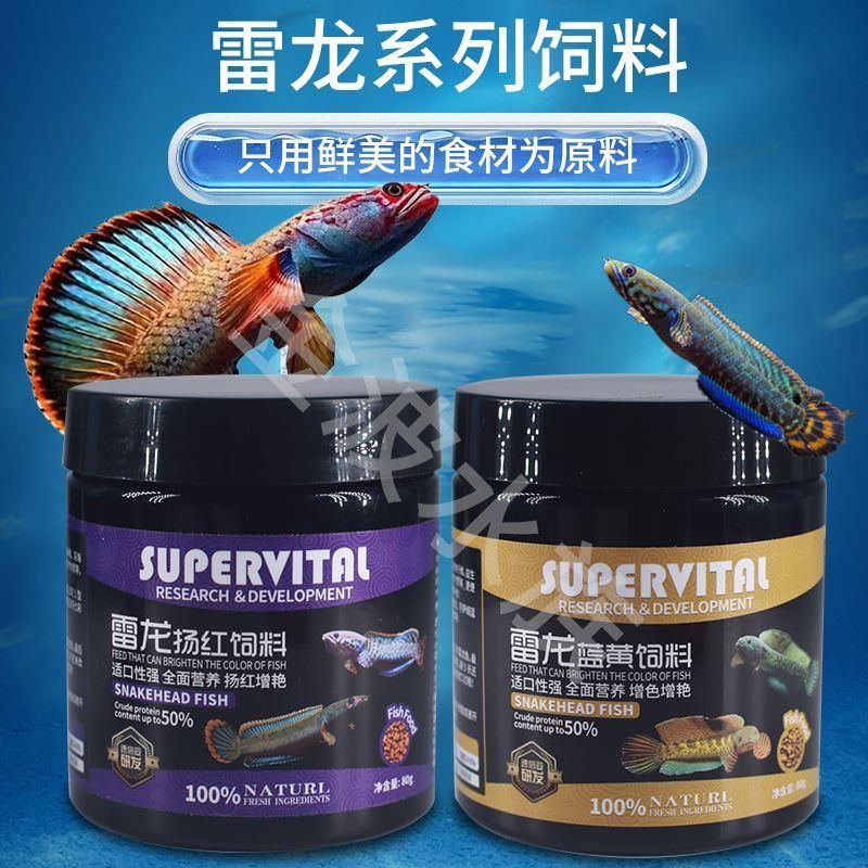 雷龍魚飼料排行榜最新：探索雷龍魚飼料最新排名