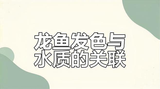龍魚水質PH值如何調整？