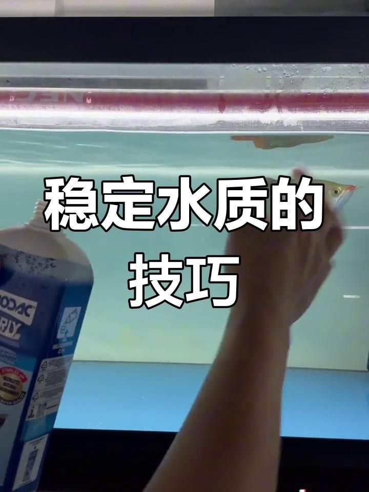 龍魚水質PH值如何調整？
