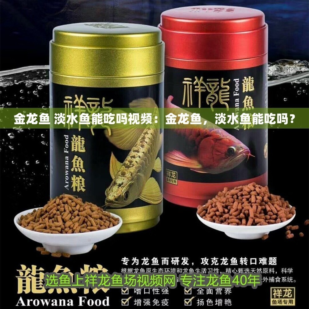 金龍魚 淡水魚能吃嗎視頻：金龍魚，淡水魚能吃嗎？ 金龍魚 淡水魚能吃嗎視頻：金龍魚，淡水魚能吃嗎？ 龍魚百科 第1張