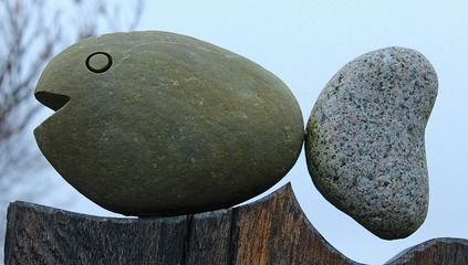 養(yǎng)金龍魚的水中放點黃粉可以嗎（黃粉可以治療觀賞魚疾病嗎？）