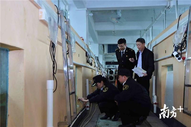 金龍魚用檢疫嗎