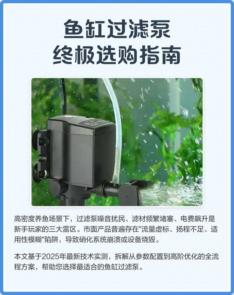 龍魚飼養中哪些過濾設備是必備的？