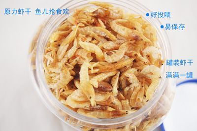 龍魚一直喂蝦干（龍魚一直喂蝦干會導致其生長緩慢） 龍魚一直喂蝦干（龍魚一直喂蝦干會導致其生長緩慢） 龍魚百科 第3張