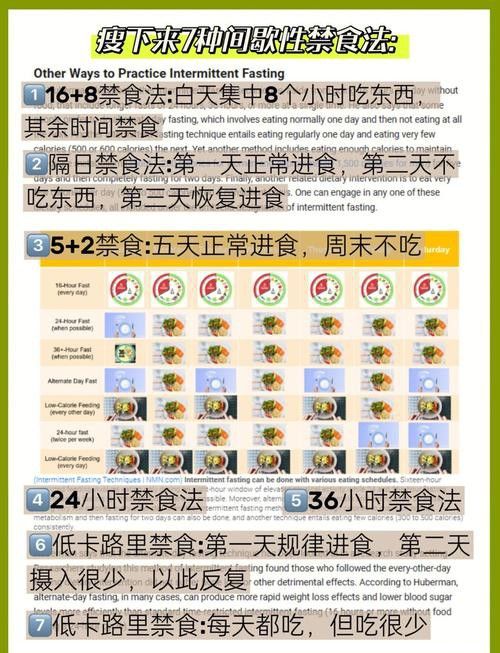停食期間如何提供營(yíng)養(yǎng)？