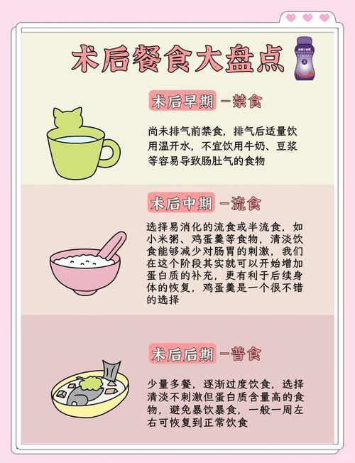 停食期間如何提供營(yíng)養(yǎng)？