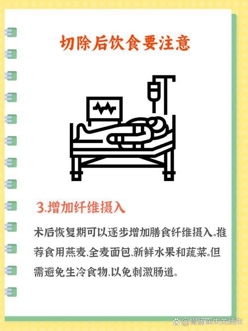停食期間如何提供營(yíng)養(yǎng)？