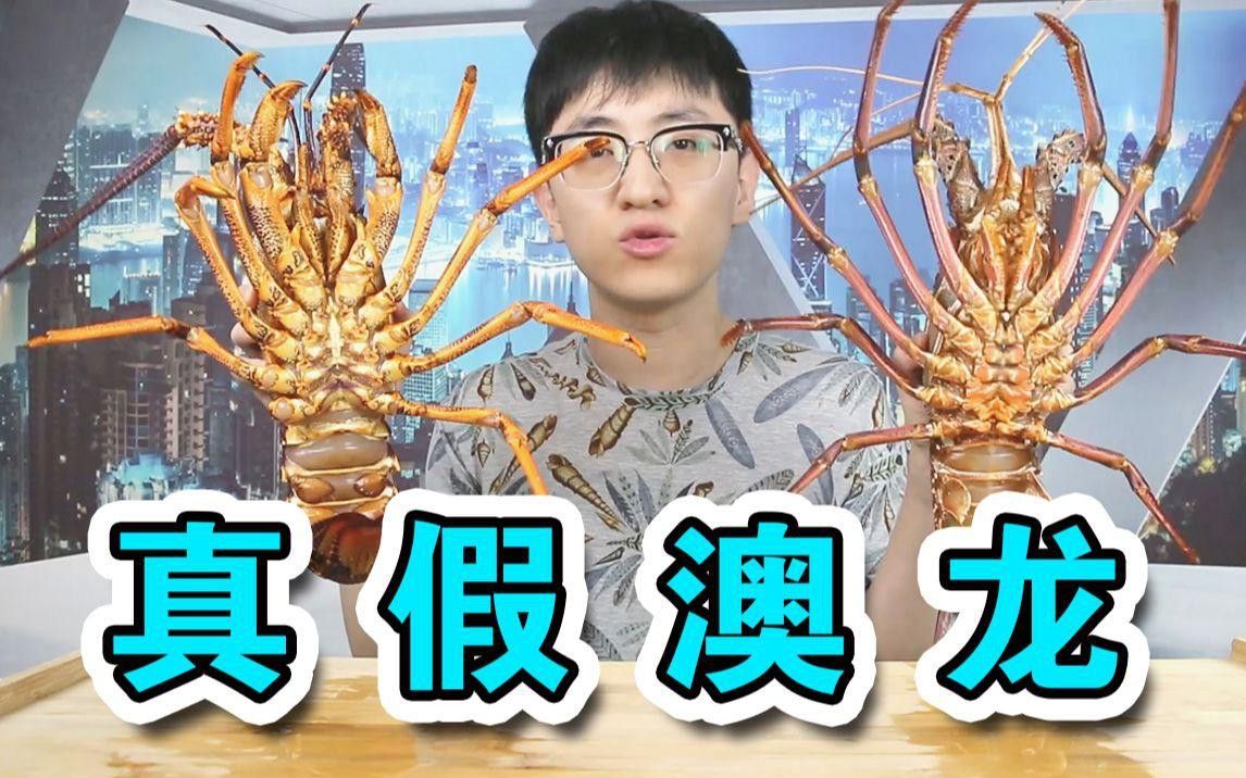 如何區分紅龍和澳龍？