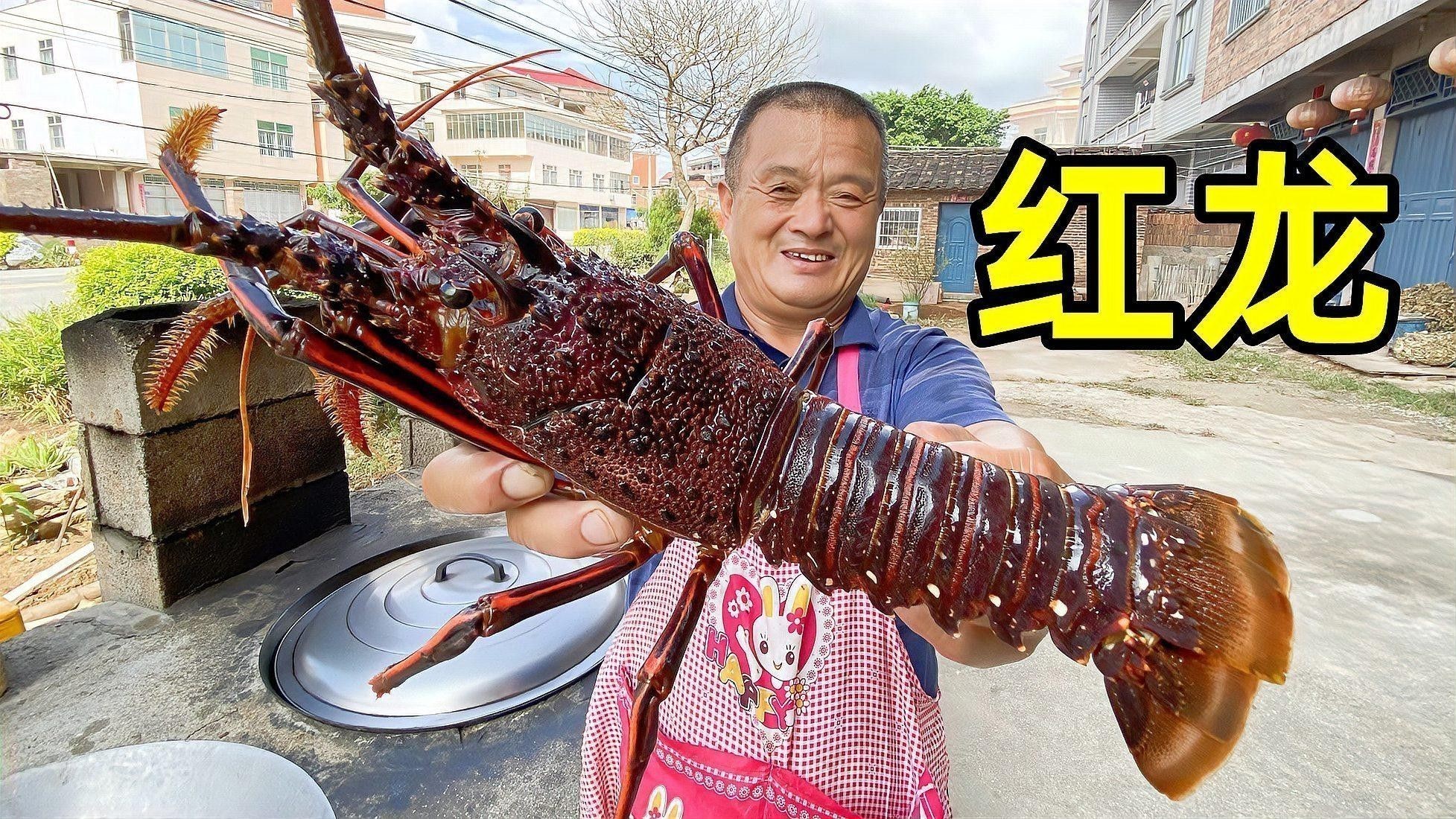 如何區分紅龍和澳龍？