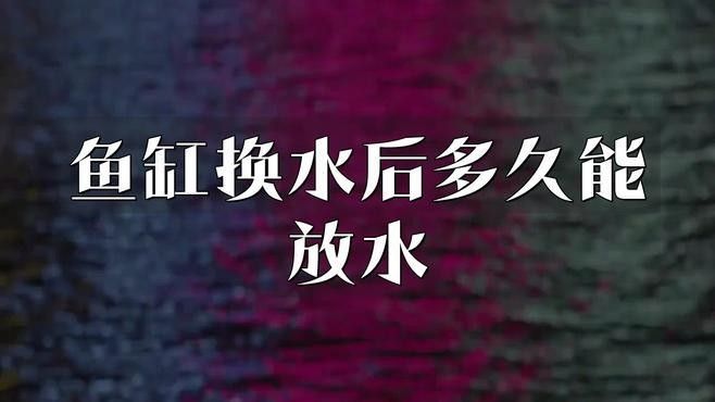 銀龍魚換水后多久恢復？