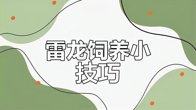 雷龍魚群養(yǎng)需要哪些設備？