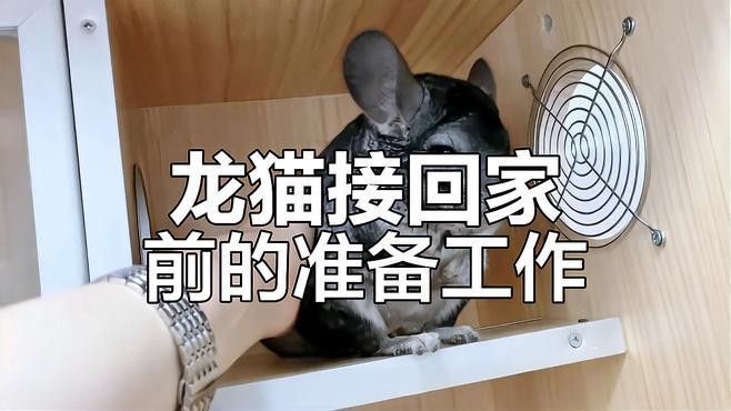 如何安全地引入新龍貓？