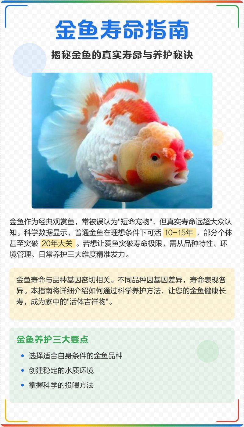 黑龍睛金魚的壽命有多長？
