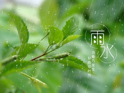 雨水可以養龍魚嗎：雨水可以養龍魚嗎，