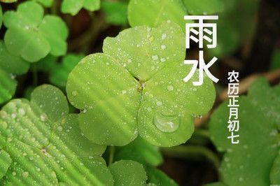 雨水可以養龍魚嗎：雨水可以養龍魚嗎，