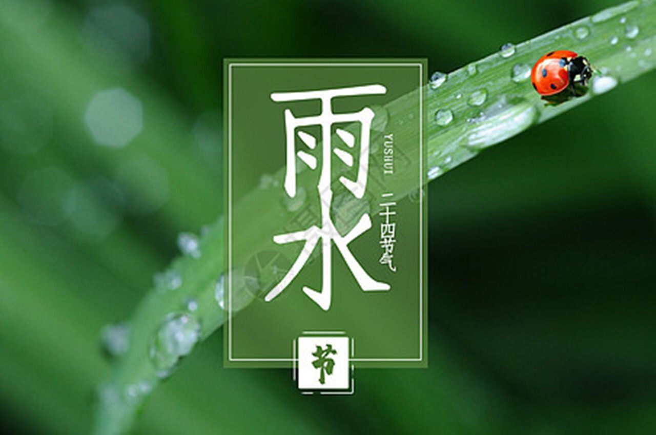 雨水可以養龍魚嗎：雨水可以養龍魚嗎，