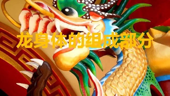 能否提供龍身繪制素材？