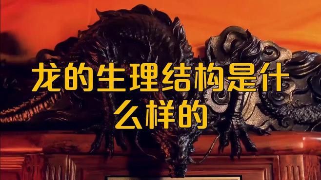能否提供龍身繪制素材？