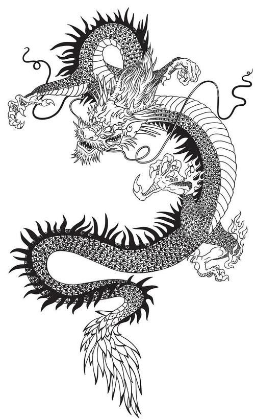 能否提供龍身繪制素材？