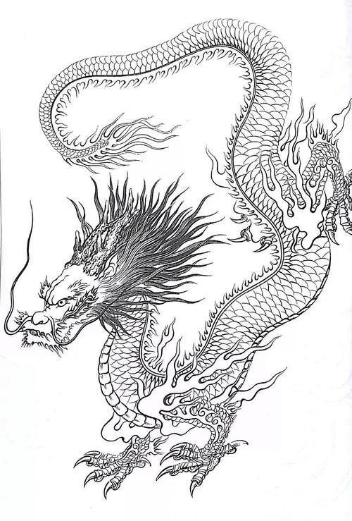 能否提供龍身繪制素材？