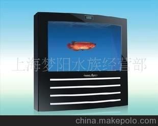 詳細(xì)閱讀:魚(yú)缸專(zhuān)賣(mài) 魚(yú)缸專(zhuān)賣(mài)