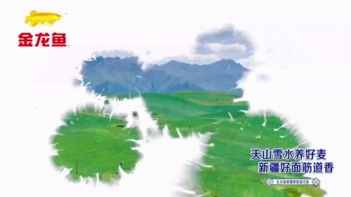 金龍魚種植基地在哪里有