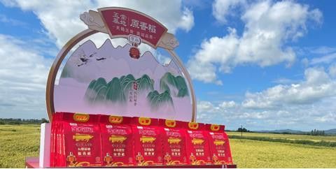金龍魚種植基地在哪里有