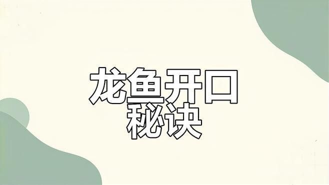 龍魚不吃食怎么開口 龍魚不吃食怎么開口 龍魚百科 第6張