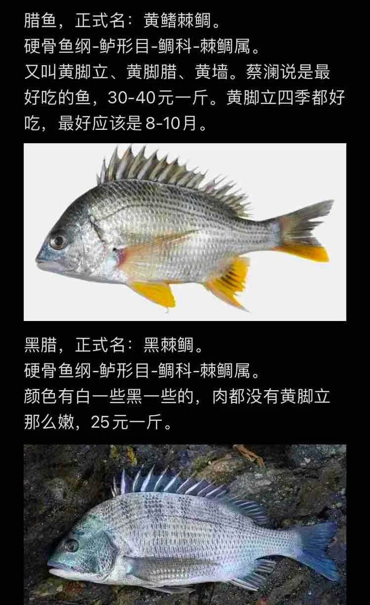 金鯛魚是什么檔次的魚 金鯛魚是什么檔次的魚 龍魚百科 第9張