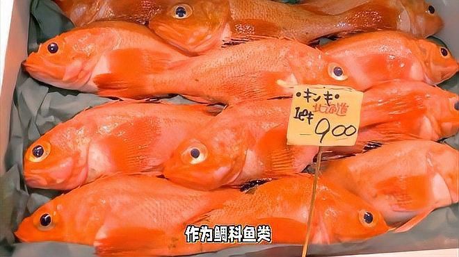 金鯛魚是什么檔次的魚 金鯛魚是什么檔次的魚 龍魚百科 第15張