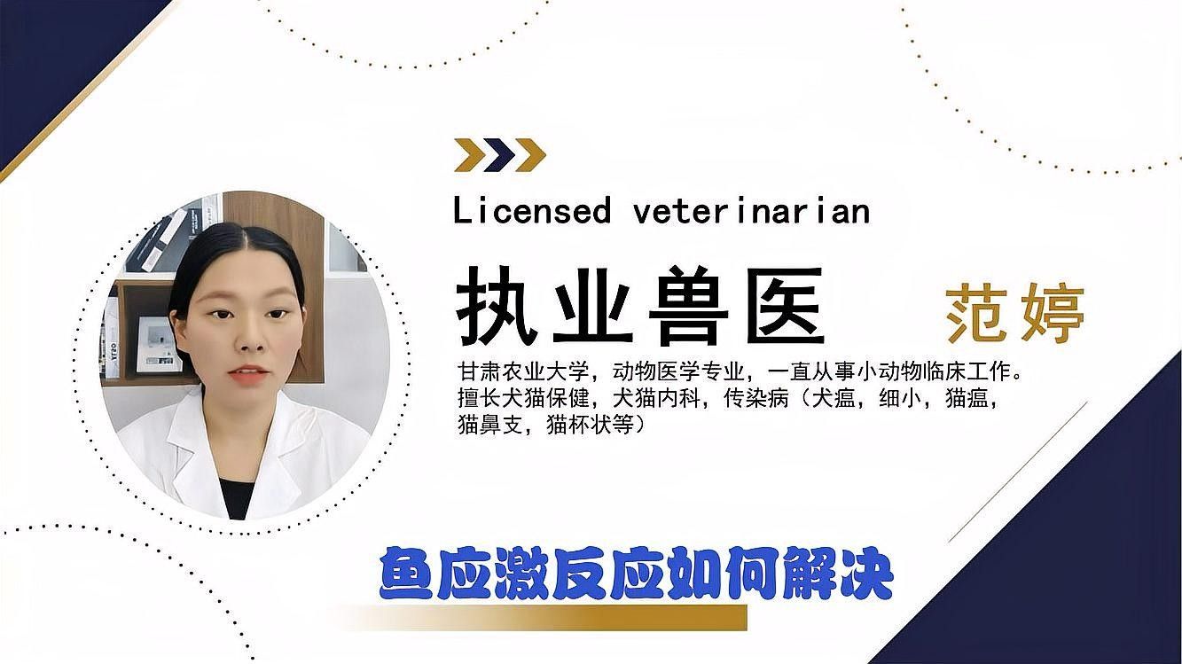 龍魚(yú)出現(xiàn)應(yīng)激反應(yīng)應(yīng)該如何處理？