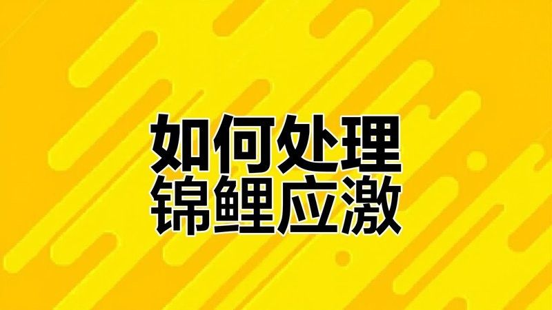 龍魚出現(xiàn)應(yīng)激反應(yīng)應(yīng)該如何處理？