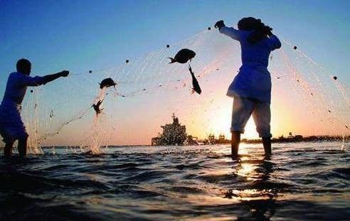 龍魚出現(xiàn)應(yīng)激反應(yīng)應(yīng)該如何處理？