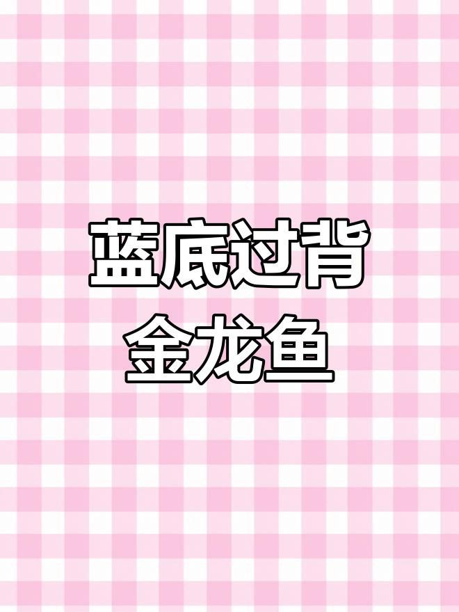 如何辨別古典藍底過背金龍魚的品質？