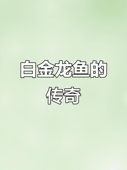 白色龍魚圖片欣賞 白色龍魚圖片欣賞 龍魚百科 第10張