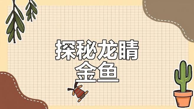 龍睛和蝶尾哪個更受歡迎？ 龍睛和蝶尾哪個更受歡迎？ 龍魚百科 第2張