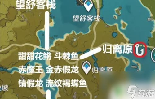 金龍魚在哪里抓，如何合法捕捉金龍魚