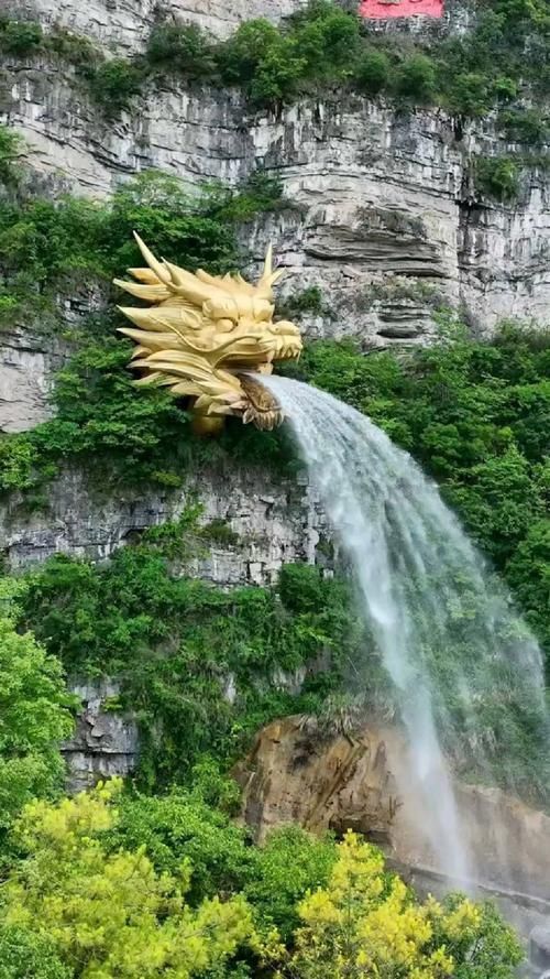 能推薦一些高質量的龍水圖片嗎？ 能推薦一些高質量的龍水圖片嗎？ 龍魚百科 第5張