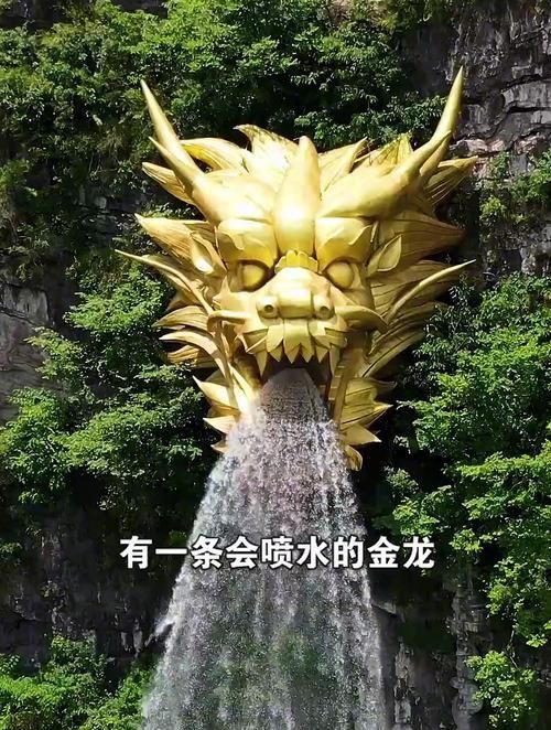 能推薦一些高質量的龍水圖片嗎？ 能推薦一些高質量的龍水圖片嗎？ 龍魚百科 第9張
