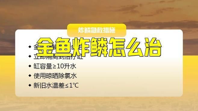 金魚(yú)炸鱗病有哪些治療方法