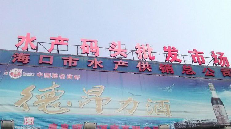海口哪里養(yǎng)殖龍魚好賣