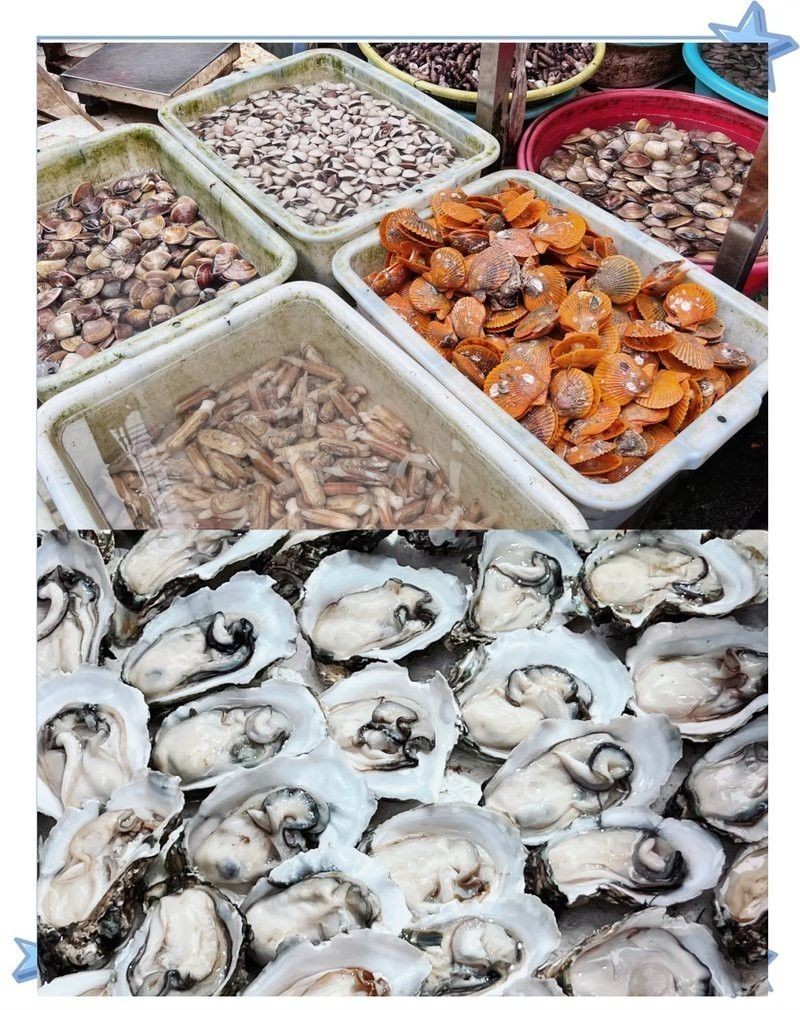 海口哪里養(yǎng)殖龍魚好賣