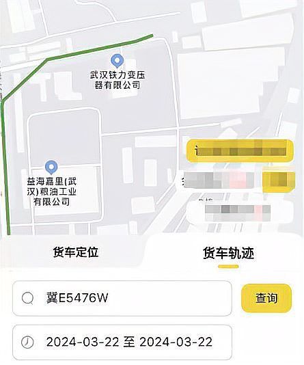 金龍魚汽車爆炸 金龍魚汽車爆炸 龍魚百科 第1張