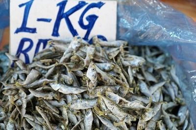 龍魚用什么鹽腌制好：龍魚的腌制方法