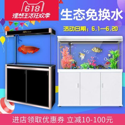 西龍魚缸怎么樣（西龍魚缸怎么樣？）