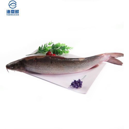 天山龍魚(yú)的做法竅門(mén)圖片