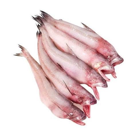 天山龍魚(yú)的做法竅門(mén)圖片