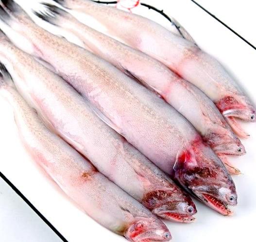 天山龍魚(yú)的做法竅門(mén)圖片